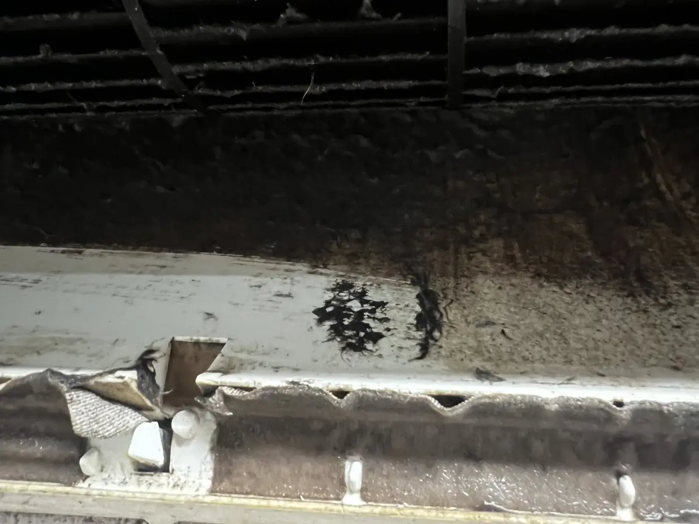 Mould and grime inside a neglected air conditioner found during a Shoalhaven service call